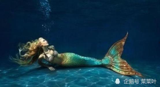 吃瓜吃到鲛人,从吃瓜到揭秘的奇幻之旅